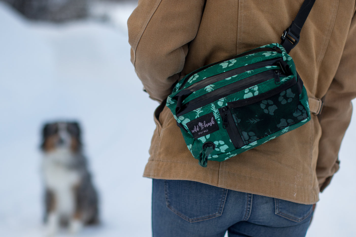 4L Dog Training Pack Presale