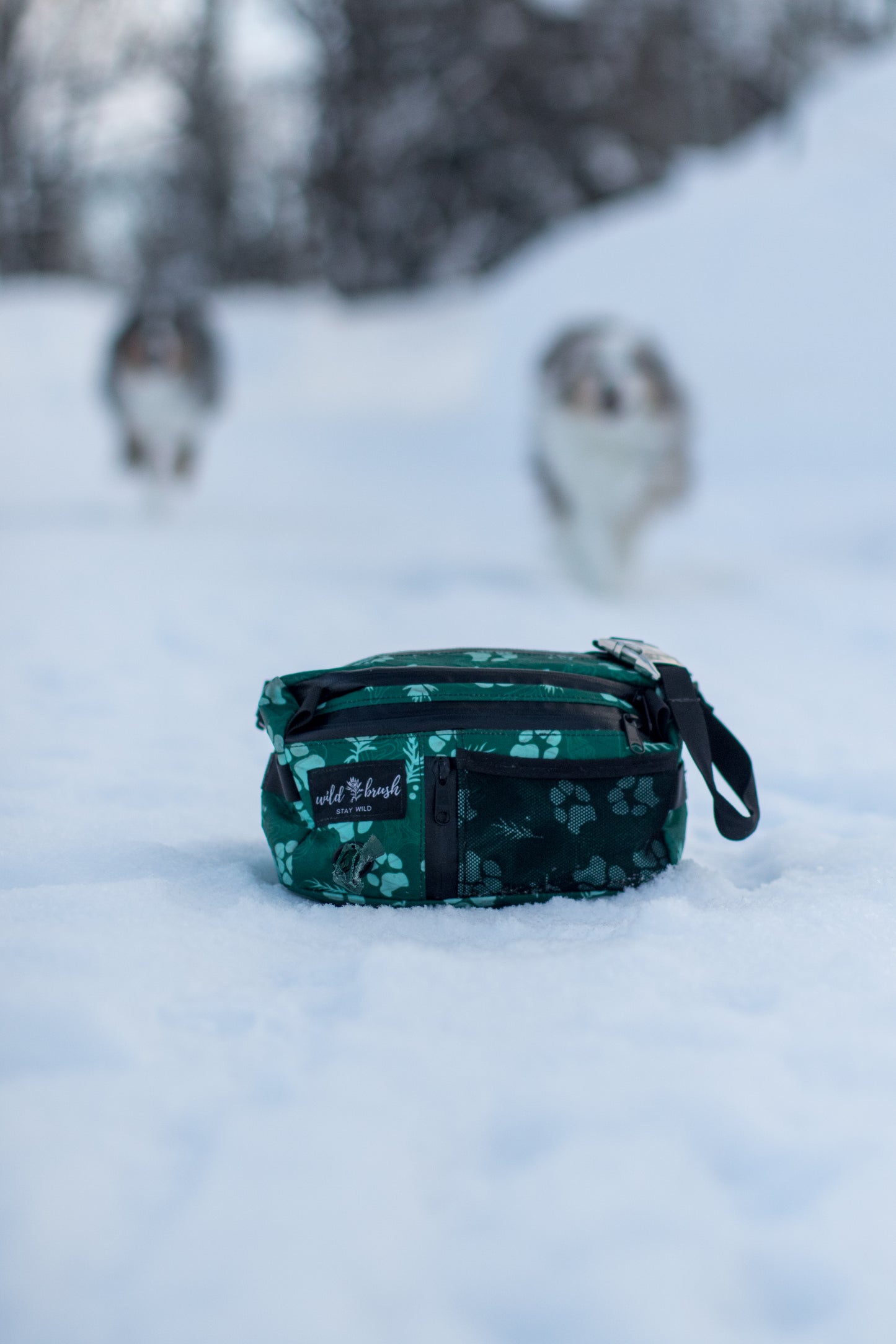 4L Dog Training Pack Presale