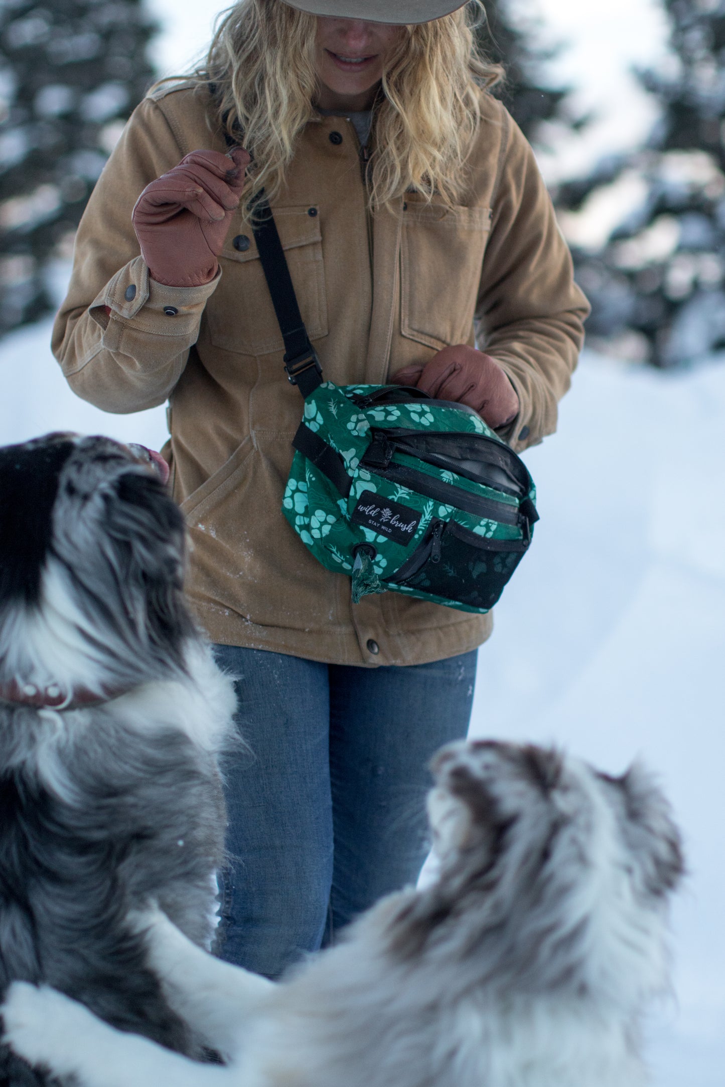 4L Dog Training Pack Presale