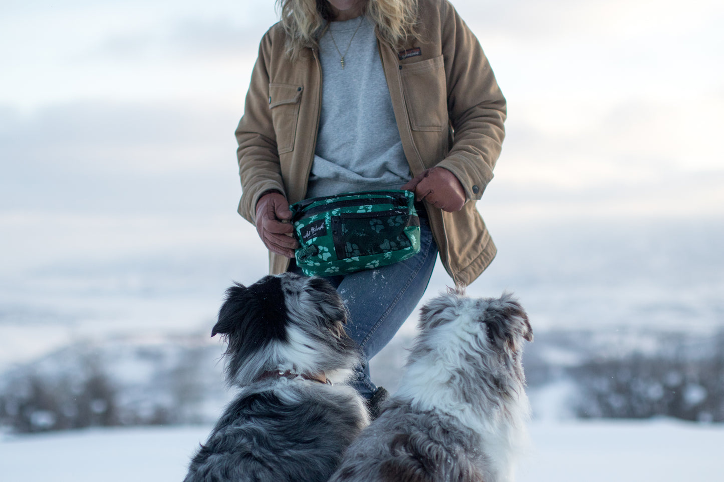 4L Dog Training Pack Presale