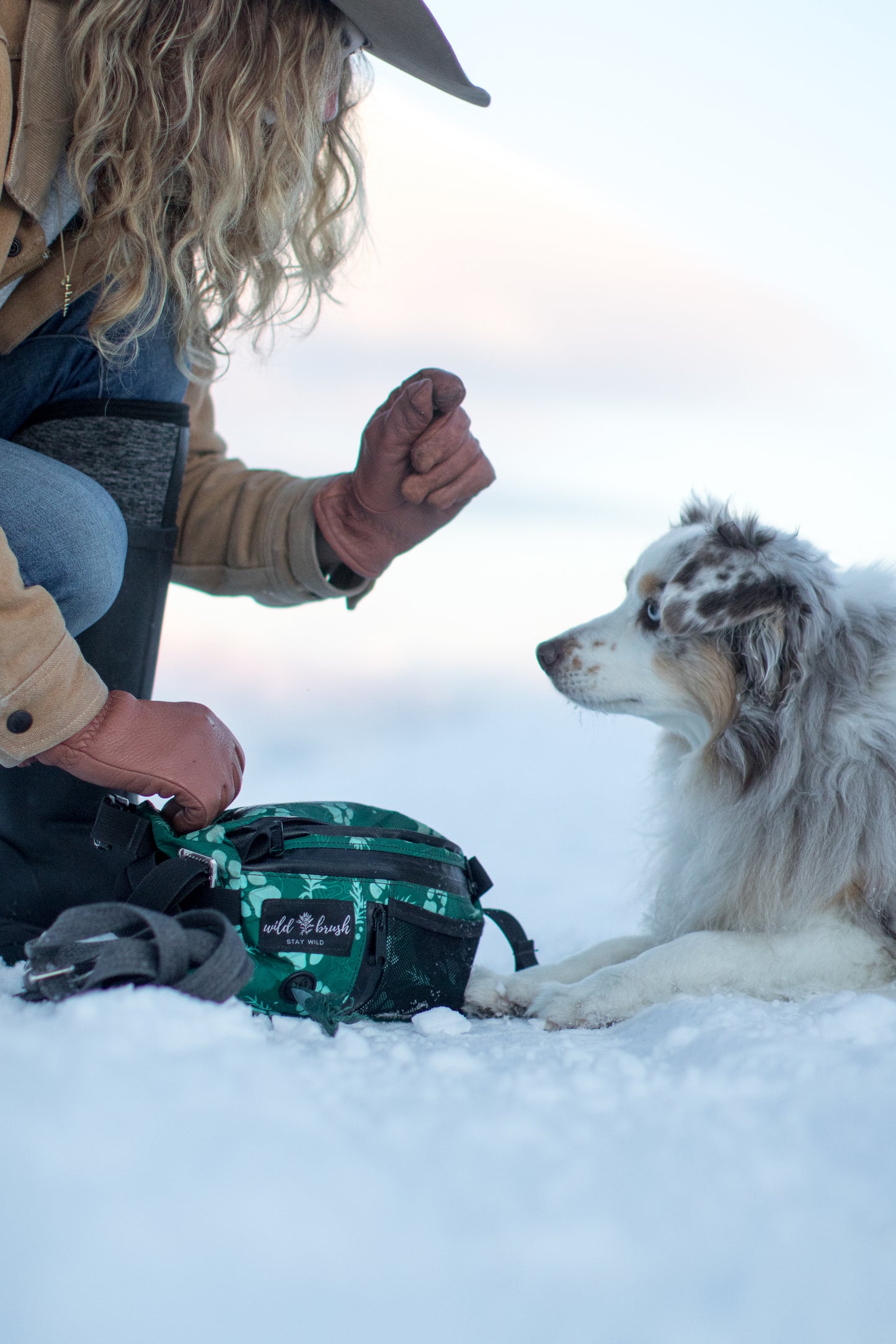 4L Dog Training Pack Presale