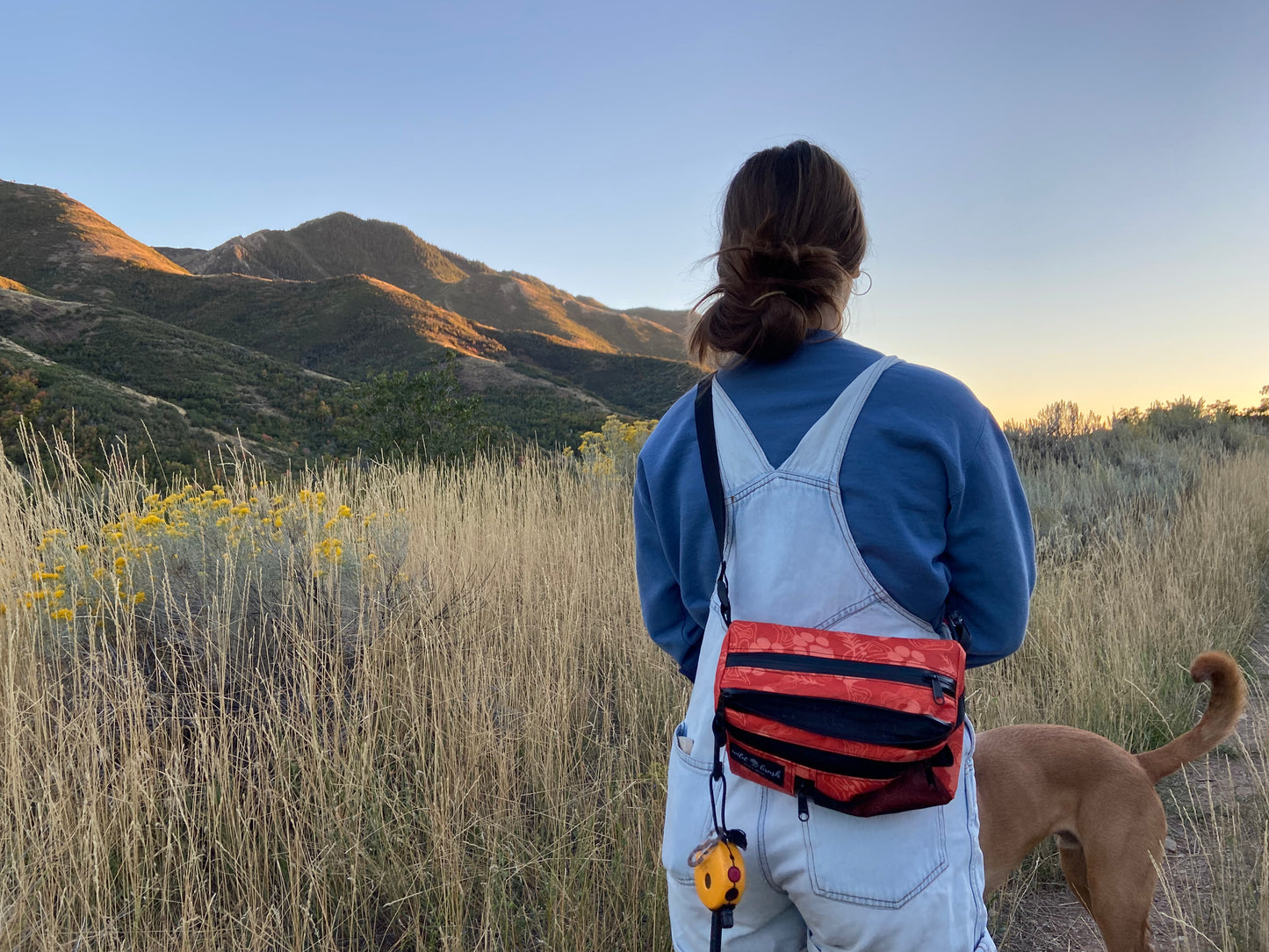 4L Dog Training Pack Presale