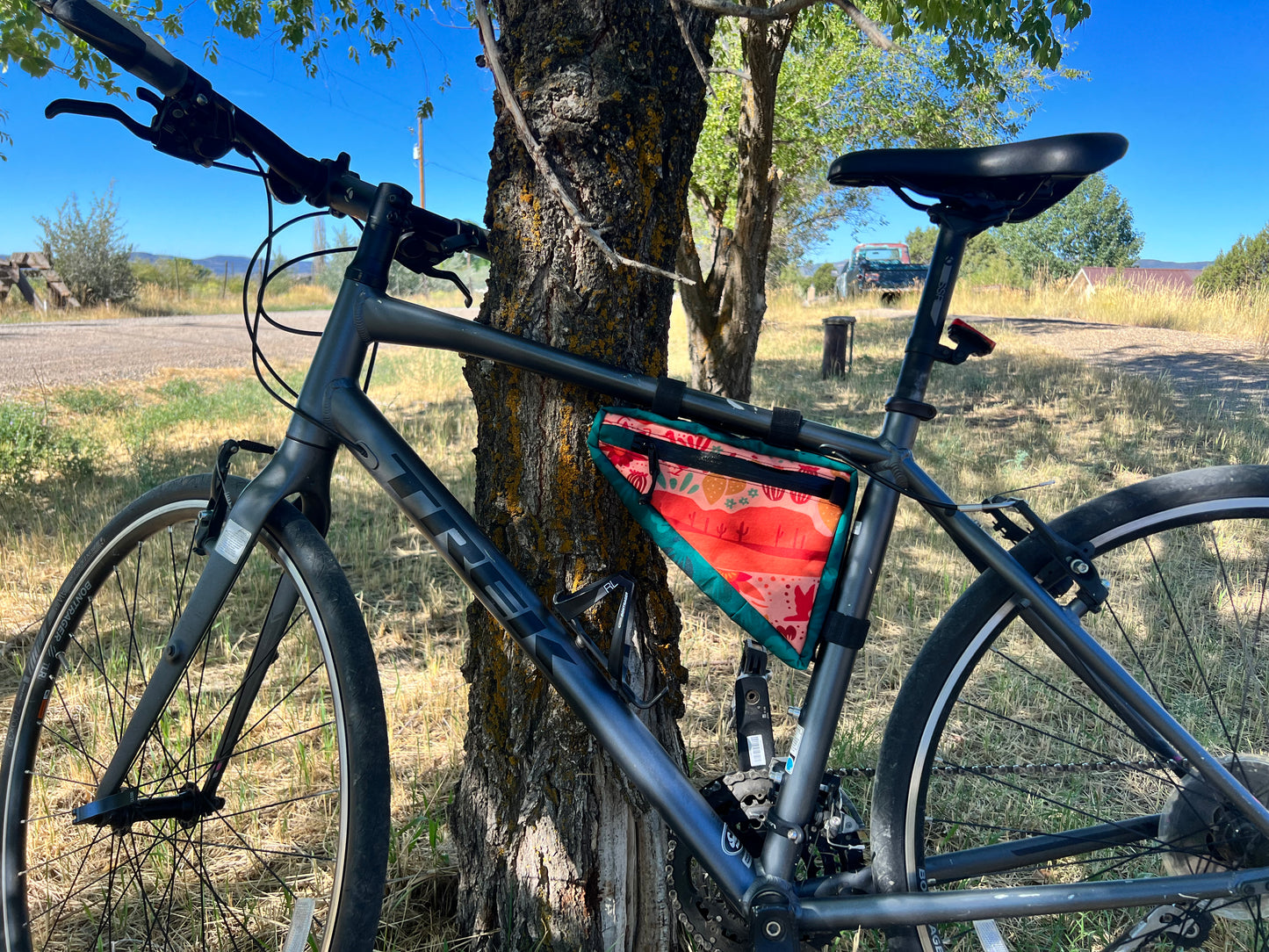 Sonoran Desert Medium Frame Bag