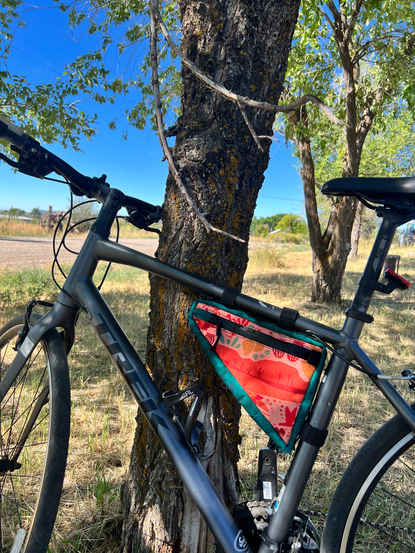 Sonoran Desert Medium Frame Bag