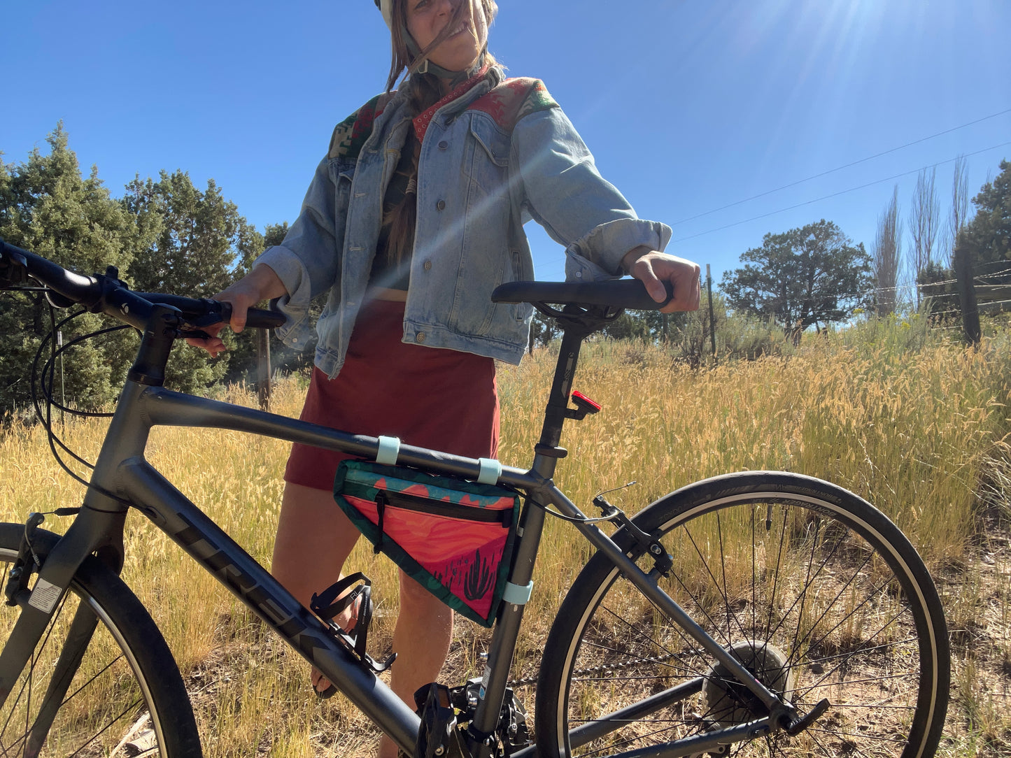 Sonoran Peaks Medium Frame Bag