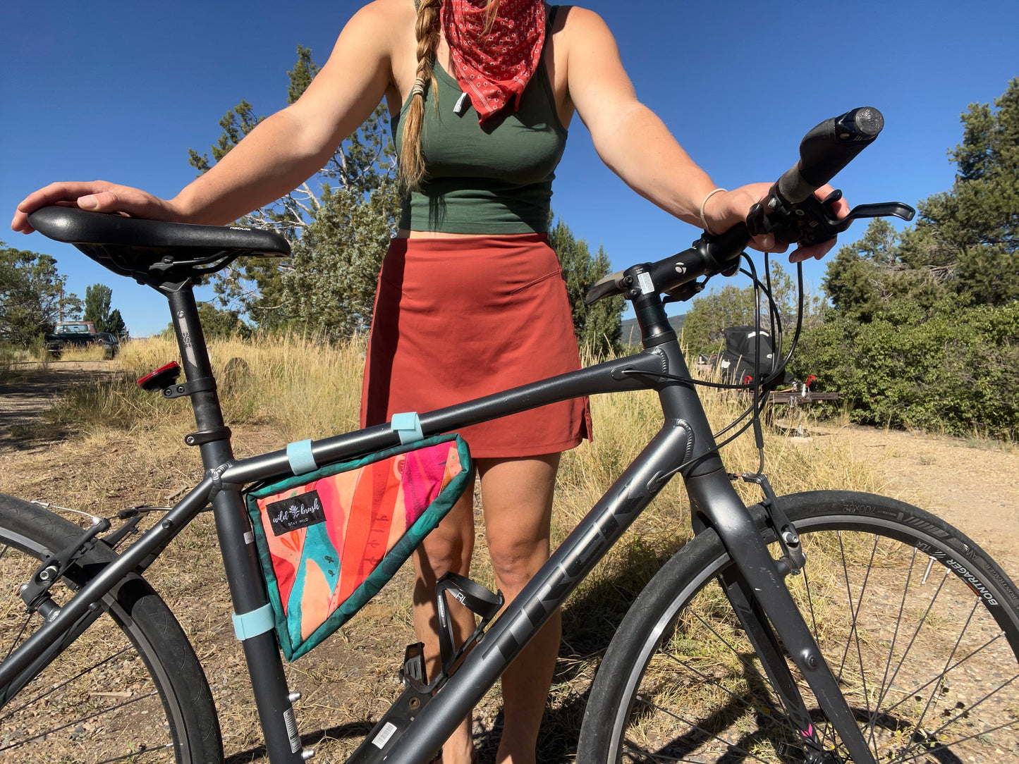 Sonoran Stripes Medium Frame Bag