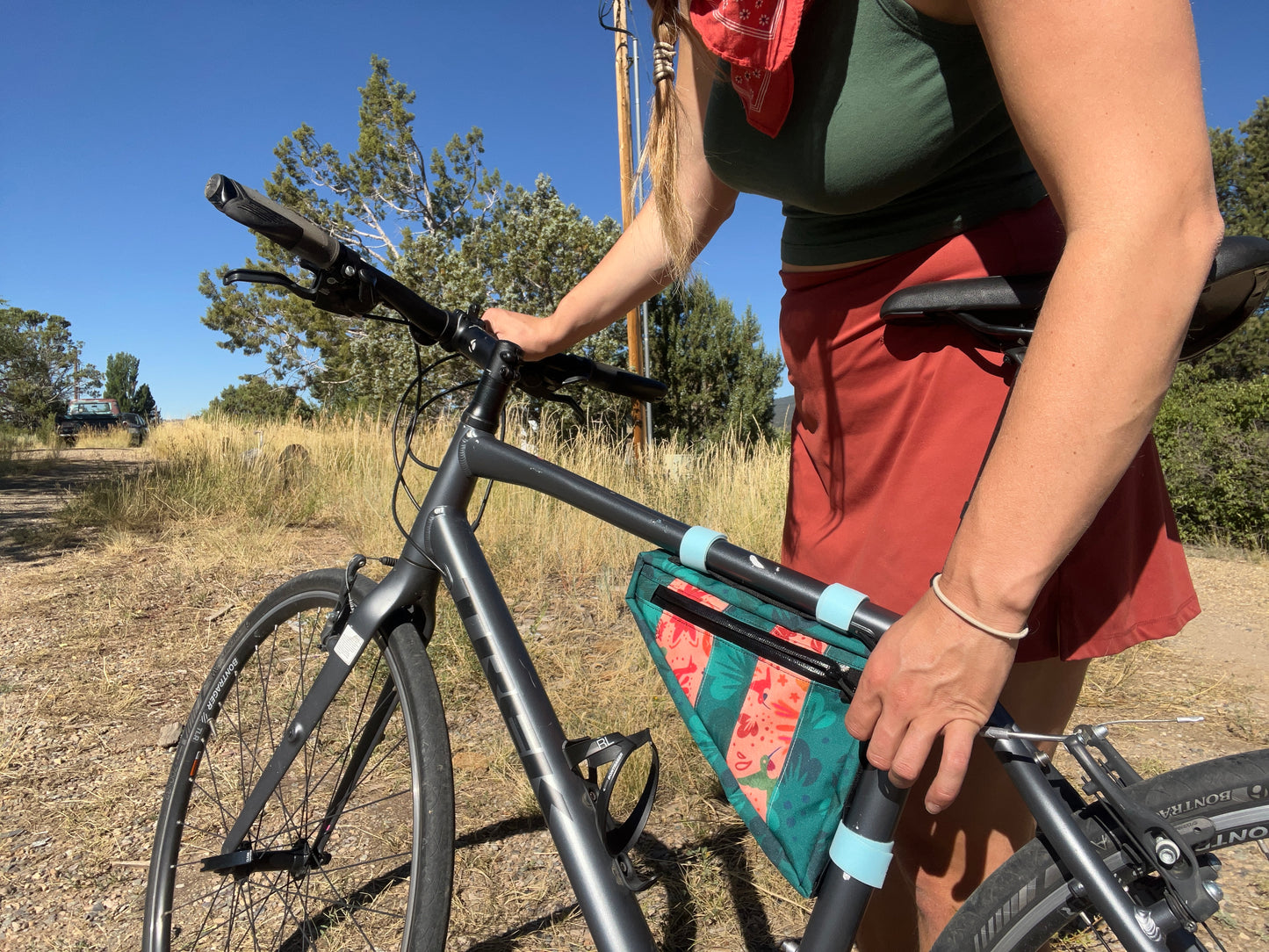 Sonoran Stripes Medium Frame Bag