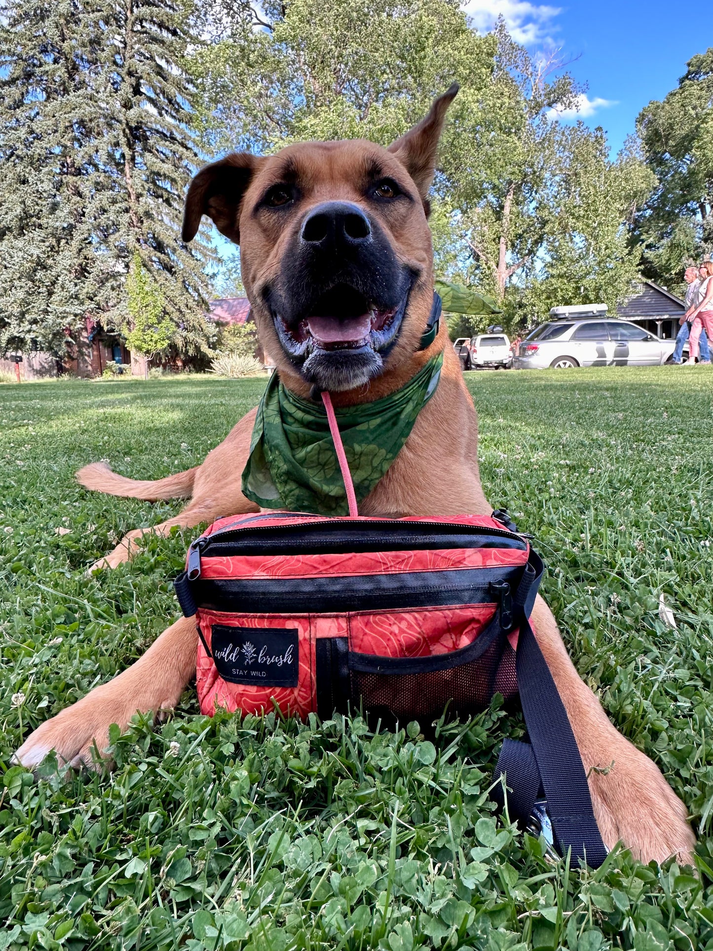 4L Dog Training Pack Presale