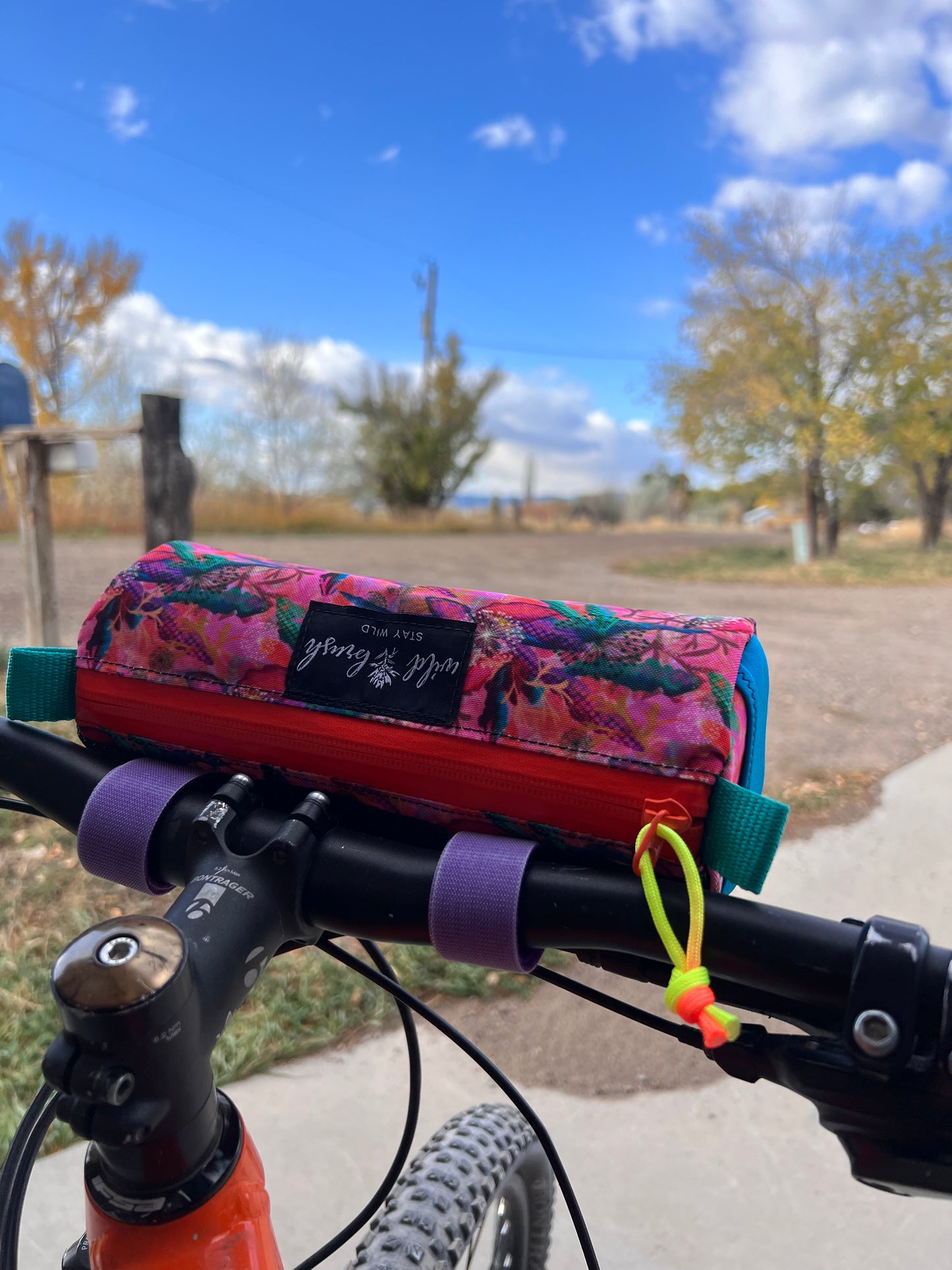 Sushi Roll Bike Bag