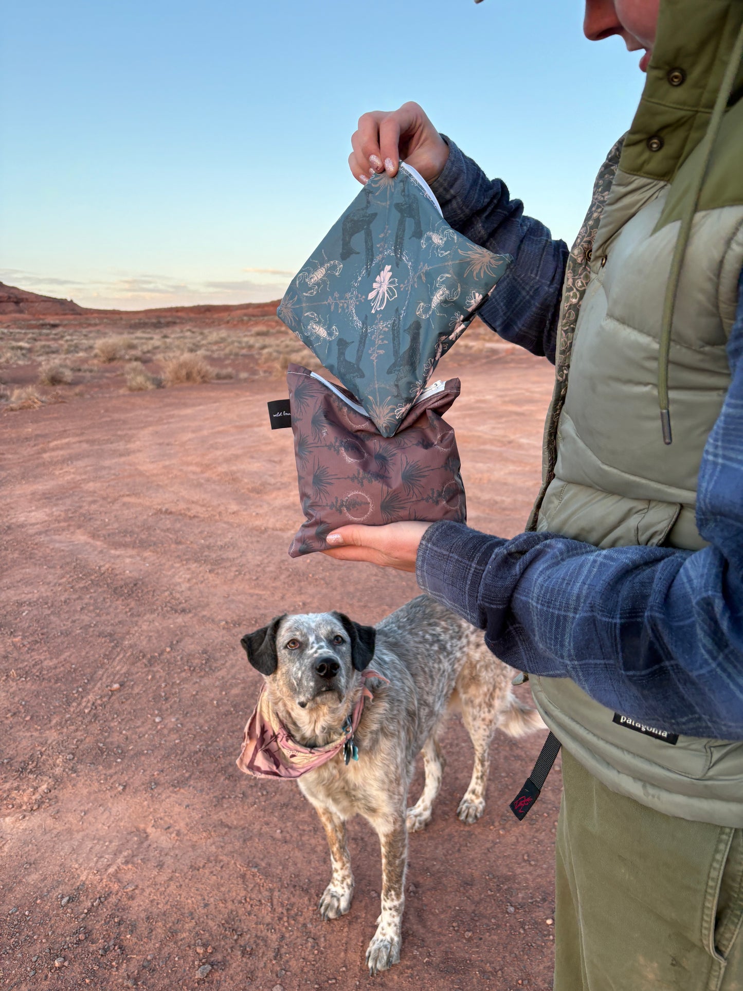 Roadrunner Snack Bag