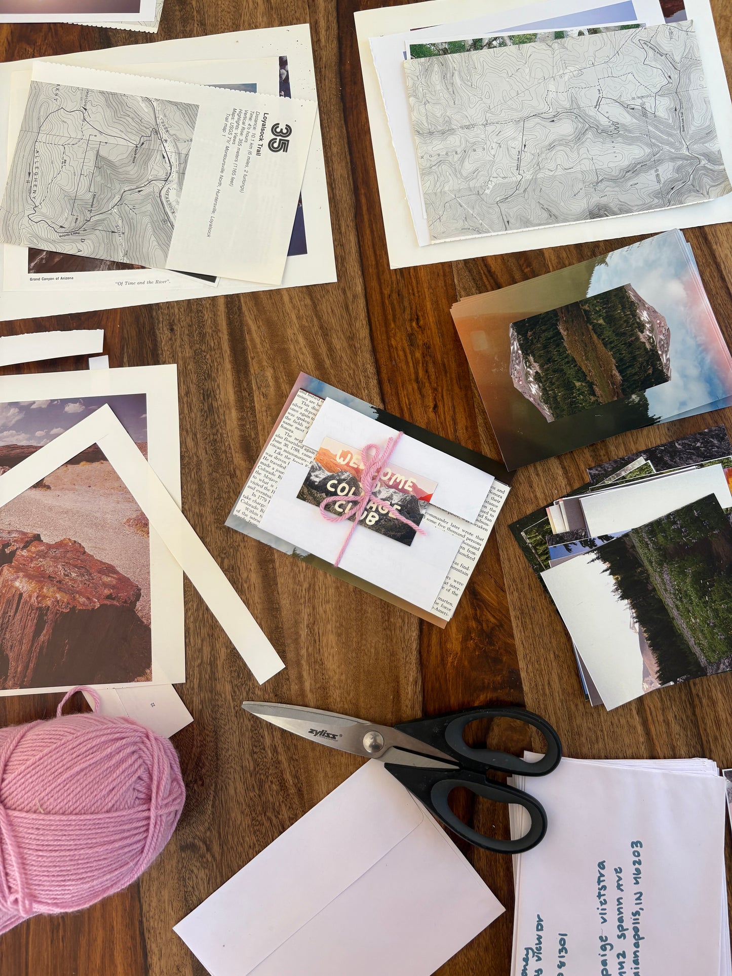 Wild Monthly Collage Club