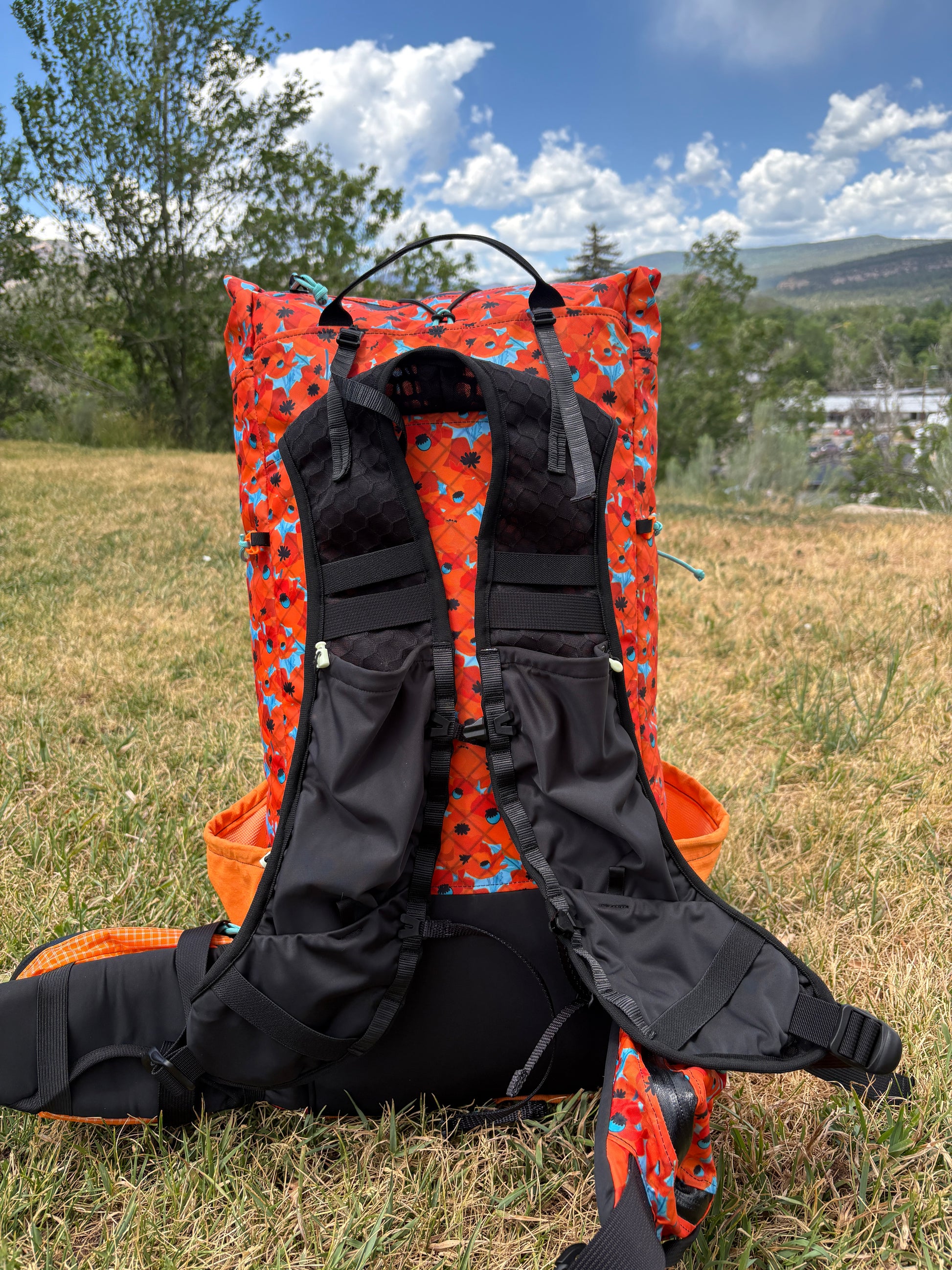 California Poppies Glow 45L Ultralight Backpack