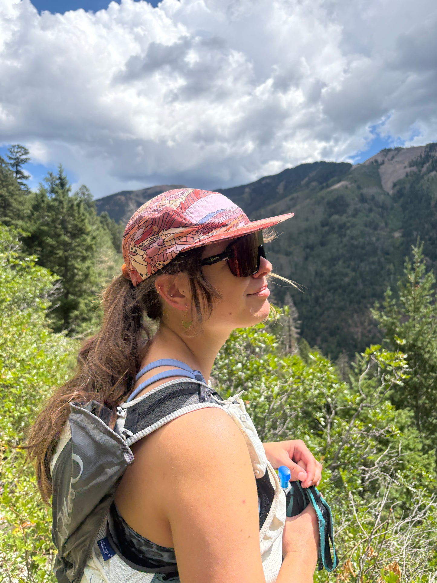 Capital Reef All Over 5-Panel